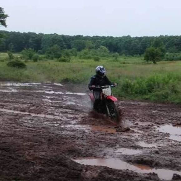 Meet your Posher, Paul - Picture 1 of 1